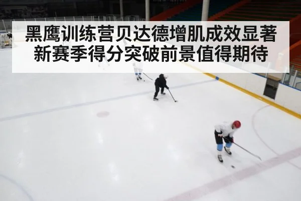 黑鹰训练营贝达德增肌成效显著 新赛季得分突破前景值得期待